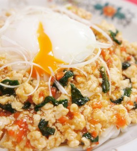 ヘルシー☆鶏むねひき肉のピリ辛稲庭うどん